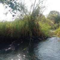 Transpasse na ZONA DE CHANGALANE – 950 hectares de terra fértil, ideal para pasto e agricultura!